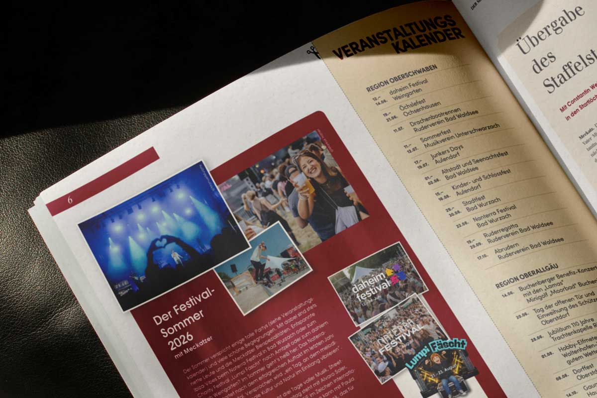 38Punkt_CorporateDesign_Layout1_DerMeckatzerLöwe