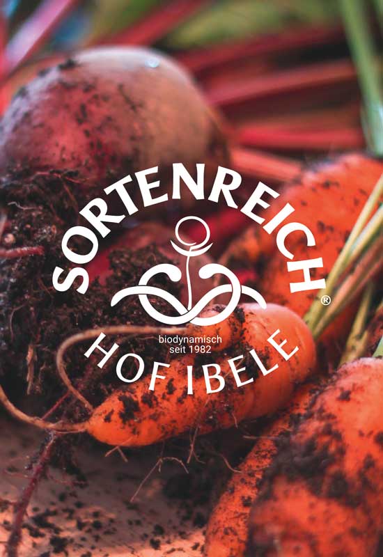 38Punkt_sortenreich_CorporateDesign_Signetentwicklung_Logo
