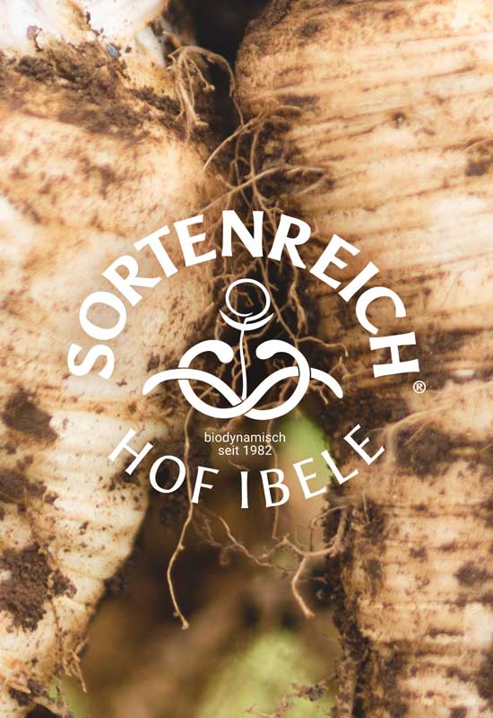 38Punkt_sortenreich_CorporateDesign_Signetentwicklung_Logo