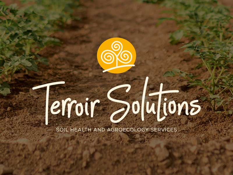 BrandDesign-LogoDesign